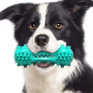 Dog Chew Toys