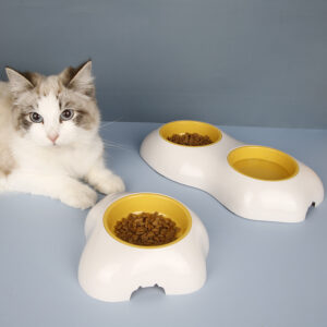 Pet Feeding Bowl