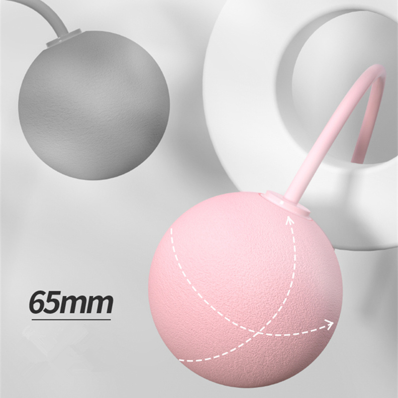 Adjustable Speed Jump Rope Set for Fitness 6 Adjustable Speed Jump Rope Set